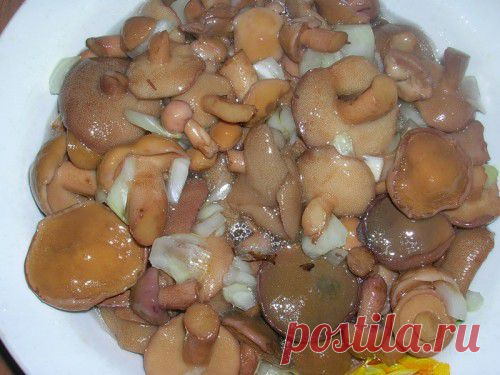 Простой рецепт консервирования маслят