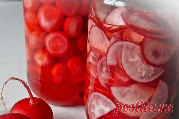 Редиска на зиму: вкусные рецепты маринования пальчики оближешь с фото и видео