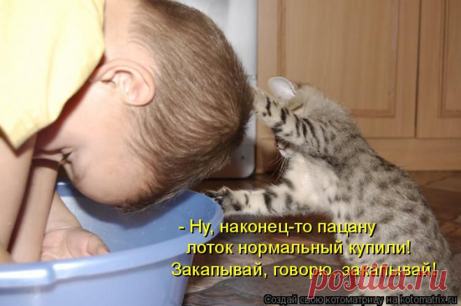 Забавные животные