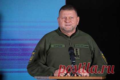 Оценены последствия отставки Залужного. Возможное увольнение главнокомандующего ВСУ Валерия Залужного может привести к военному перевороту в стране, считает советник главы ДНР Дениса Пушилина Ян Гагин. По его словам, слухи об отставке главкома могут говорить о том, что на Украине сейчас идет борьба за власть.