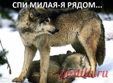 Игорь петров
14 лет, Россия, москва