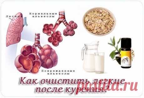 Будьте здоровы. Бросайте курить и займитесь  очищением  лёгких Всем известно, что курение сильно вредит здоровью людей, которые зависимы от сигарет. Особенно большому риску подвержены легкие. Дым, который вдыхают курильщики, обжигает слизистую оболочку дыхательных путей.В этом дыме содержатся токсины и другие вредные вещества, которые могут стать причиной