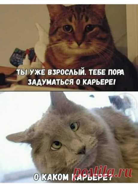 (429) Pinterest
