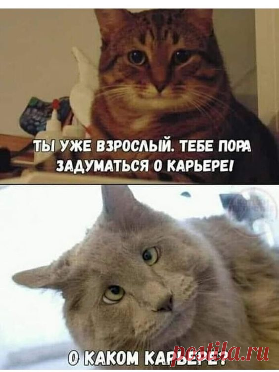 (429) Pinterest