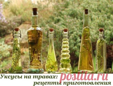 - Уксус с базиликом Если сделать уксус с фиолетовым базиликом, то он получится не только ароматный, но и очень красивый. Ингредиенты: столовый уксус 9% – 1 л, свежий базилик – 500 г. Приготовление: Помойте и просушите листья базилика. Половину листьев выложите в простерилизованную бутылку. Залейте базилик уксусом и настаивайте 10 дней. Затем жидкость процедите, листья замените свежими и настаивайте еще 14 дней. - Уксус на розмарине Такой уксус можно хранить в плотной закры...