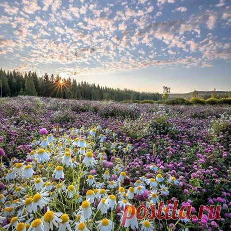 Photo shared by ВОКРУГ СВЕТА on June 05, 2021 tagging @askokuittinen. May be an image of 1 person, flower, nature and sky. _____________________________
1️ Мы сделали все в соответствии с рекомендациями Роспотребнадзора по проведению дезинфекционных мероприятий.
2️ Все сотрудники прошли дополнительный осмотр и обследование на предмет наличия коронавируса и других инфекций.
3️ На предприятии приняты меры по регулярной обработке антисептиками и проветриванию помещений.
4️ Для сотрудников, приеха…
