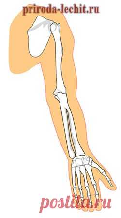 Болезни суставов, лечение народными средствами, народное методы лечения артроза и артрита коленного, тазобедренного, локтевого, плечевого, голеностопного и суставов рук | Народная медицина, рецепты и советы