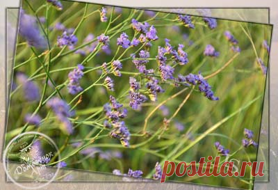 Новости блога Домовёнок-Арт, работа над Мастерклассницей №4