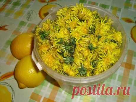 Одуванчик- ЭЛИКСИР ЖИЗНИ А КАКОЕ ЛЕКАРСТВО!!!
Одуванчик лекарственный. Листья, цветки и корни одуванчика впитали в себя все силы природы!
Маленький желтый лекарь — одуванчик содержит золотой запас самых полезных элементов таблицы Менделеева.
Лекарственный одуванчик — растение неприхотливое, но содержащее в себе добрую половину химических элементов таблицы Менделеева.
Натрий, калий, марганец, магний, алюминий, железо, медь, кальций, а также витамины А, С, F и группы В.
Изда...