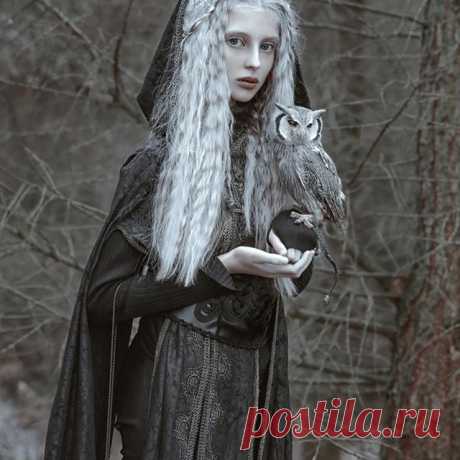 From my shoot with @olaszkolda model💕 & little friend 🦉💕 costume from @devilnightuk ✨ #agnieszkalorek #shoot #portrait #fantasy #fairy #fairytale #blondehair #whitehall #winterfashion #winter #unreal #animallove #owl #loveit #costume #fineart
