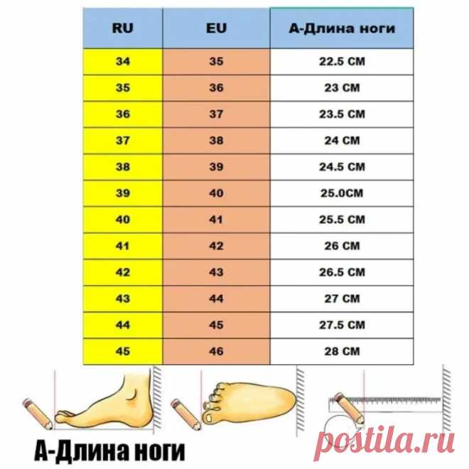 Босоножки Мужской Без каблука, размер 42 Лето Липучки купить c доставкой на OZON по низкой цене (2096994888)