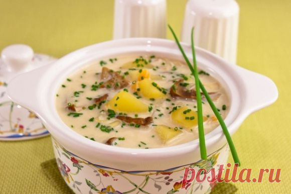 СЫРНЫЙ СУП С БЕЛЫМИ ГРИБАМИ.