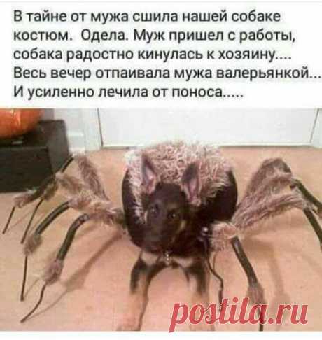 (99) Одноклассники