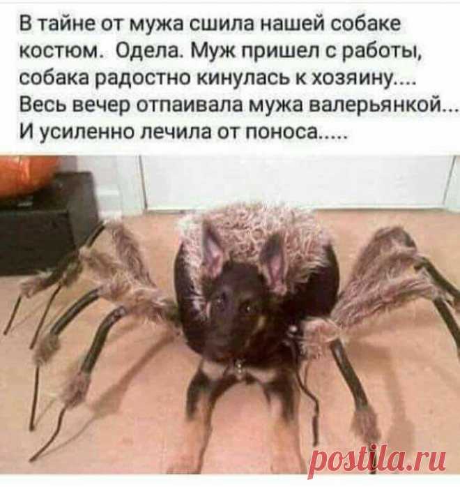 (99) Одноклассники