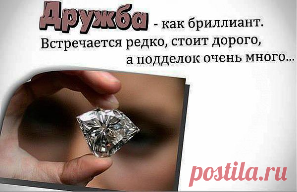 Дружба.