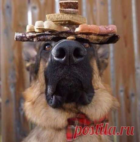 Мирное фото.