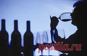 Первичное и вторичное виноделие. | About The Drinks Всё о напитках