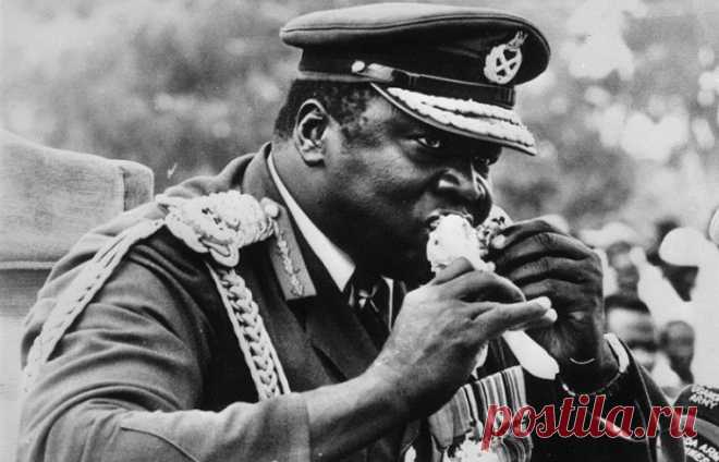 Тушеная кобра и «сахарная свинина»: шокирующие гастрономические пристрастия диктаторов ХХ века | Чёрт побери Не секрет, что главы государств могут позволить себе отведать любые кулинарные изыски. Для одних это трюфели и фуа-гра, в то время как другим нравятся более эксцентричные кушанья. Тушеная кобра, кора с галлюциногенными свойствами, «сахарная свинина» - эти шокирующие блюда предпочитали видеть в своем меню самые жестокие диктаторы ХХ века.  Ким Чен Ир (Северная Корея)...