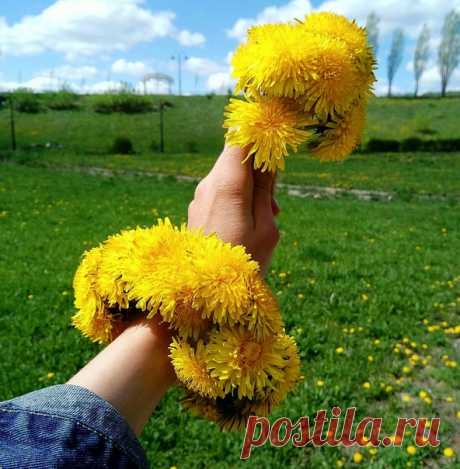13 Мая 2020 г. – Среда • Всемирный день одуванчика (World Dandelion Day) • День Черноморского флота РФ237 лет • День рождения застёжки-липучки62 года • Международный день хумуса (International Hummus Day) • День грозового гонга • День охранно-конвойных подразделений МВД РФ (День конвоира)82 года • День памяти святителя Игнатия Брянчанинова • Преполовение Господне (Преполовение Святой Пятидесятницы) • Праздник Дубенской (Красногорской) иконы Божией Матери • День памяти апостола Иакова…