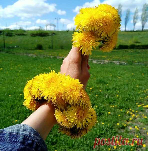 13 Мая 2020 г. – Среда • Всемирный день одуванчика (World Dandelion Day) • День Черноморского флота РФ237 лет • День рождения застёжки-липучки62 года • Международный день хумуса (International Hummus Day) • День грозового гонга • День охранно-конвойных подразделений МВД РФ (День конвоира)82 года • День памяти святителя Игнатия Брянчанинова • Преполовение Господне (Преполовение Святой Пятидесятницы) • Праздник Дубенской (Красногорской) иконы Божией Матери • День памяти апостола Иакова…
