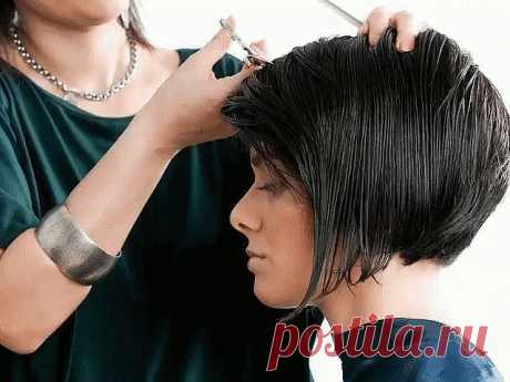 Календарь стрижек — 2019

Бабушка уже 40 лет стрижется по лунному календарю… Ее волосам завидуют все мои подружки! 

Говорят, что в волосах женщины есть что-то магическое. Они не только украшают, но и влияют на судьбу. Поэтому многие парикмахеры и астрологи советуют выбирать для различных манипуляций с волосами определенные дни. А поможет тебе в этом выборе лунный календарь. По Луне стриглись еще наши предки, и, глядя на волосы некоторых бабушек, просто удивляешься, как в ...