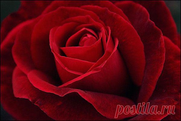 Мой Мир@Mail.Ru