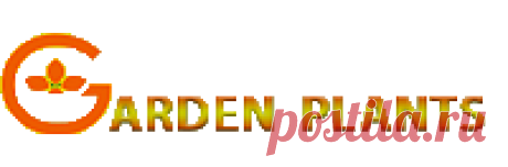 GardenPlants Питомник с огромным ассортиментом рассады и саженцев
