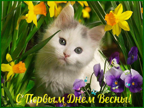 С первым днем весны - Плейкасты