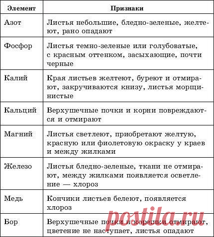 Чего не хватает вашему растению
Ответ прост – минеральных веществ