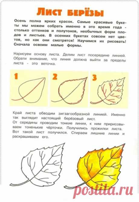 Уроки рисования: листья — Поделки с детьми