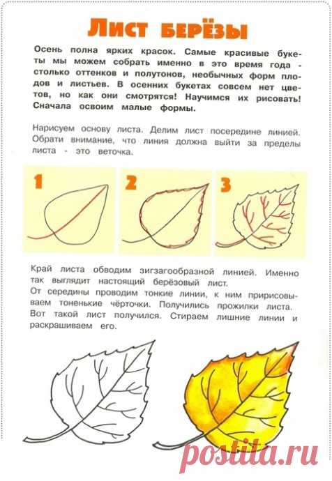 Уроки рисования: листья — Поделки с детьми