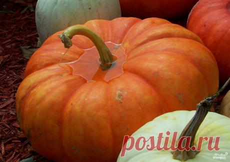 Квашеная тыква - кулинарный рецепт на Повар.ру