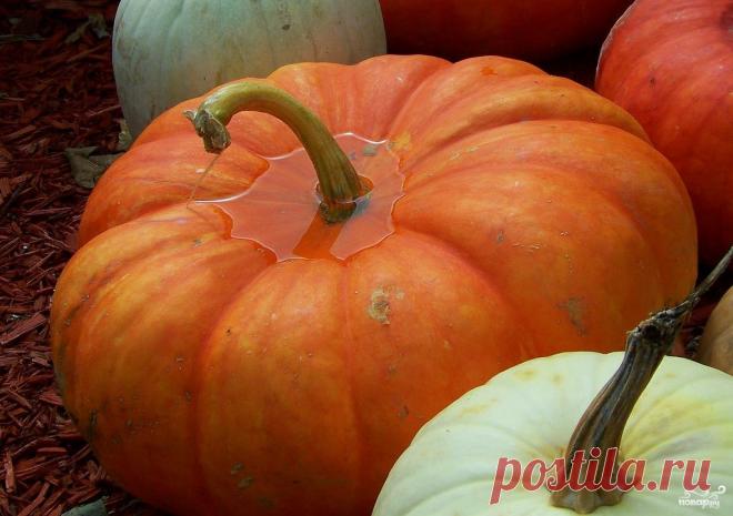Квашеная тыква - кулинарный рецепт на Повар.ру