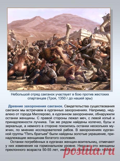 Др наук Сан Чад * История Античной Украины – 92 фотографии