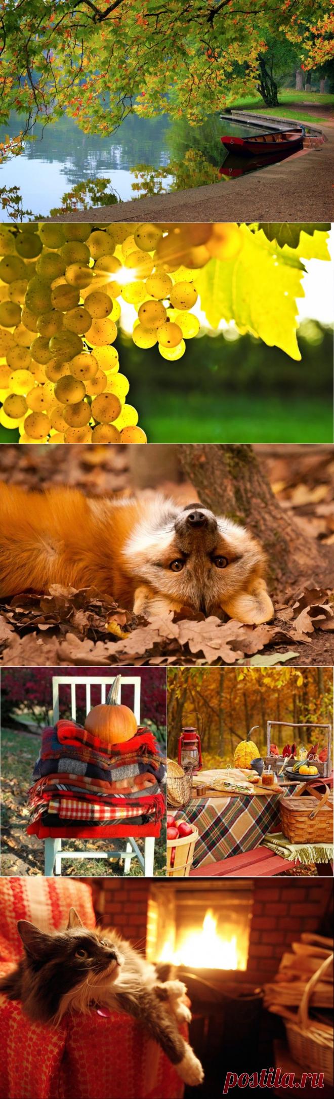  фотографии, на которых осень фантастически прекрасна