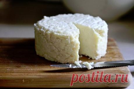 ТОР - 14 Подборка вкусных домашних сыров!

1.Домашняя моцарелла.

Ингредиенты:

На 2 порции:
●1 л молока
●125 г натурального йогурта
●1,5 ч.л. соли (можно больше, кто как любит) получается не сильно солёная
●1 ст.л. уксусной эссенции (25%)

Приготовление:

Молоко с солью нагреть, но не доводить до кипения. Добавить йогурт, перемешать, добавить уксус, хорошо перемешать и убрать с плиты.
Дуршлаг застелить чистой марлей свёрнутой примерно в 4 слоя, вылить туда свернувшееся мо...