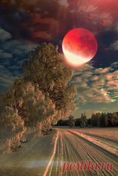 Belle nature