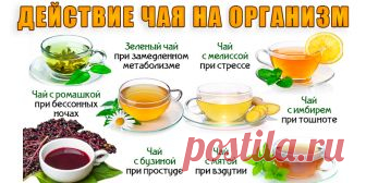 Действие чая на ваш организм | Полезные советы