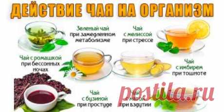 Действие чая на ваш организм | Полезные советы