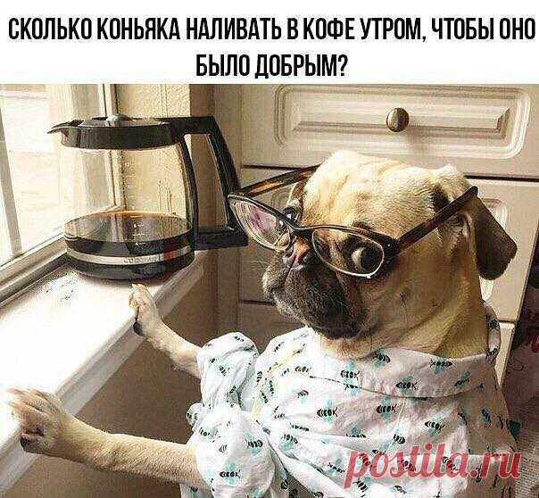 Я ВОооЩЕ НА ВЕРЕВКА ВИСЮ НИКОГО НИТРОГАЮ/прикольно/