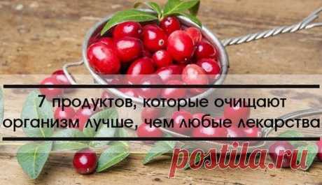 Крамола - Публикации