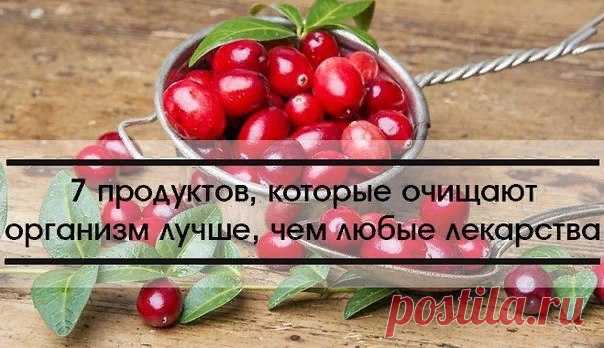 Крамола - Публикации