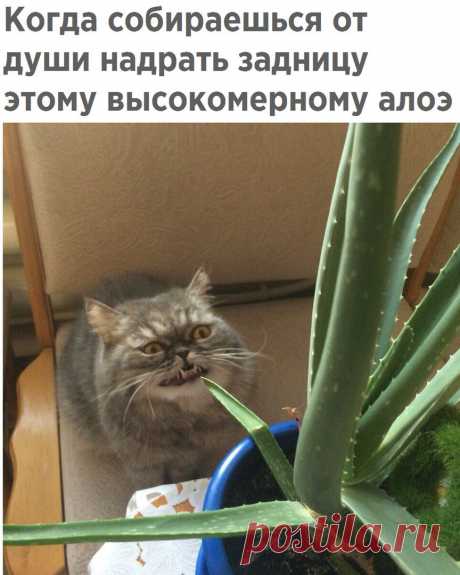 Знаете ли Вы?