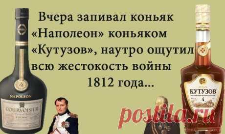 ПРИКОЛЬНЫЕ ФРАЗОЧКИ В КАРТИНКАХ