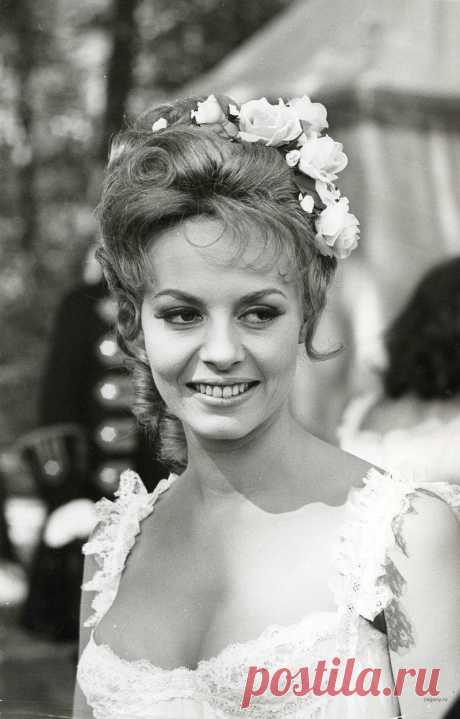 Невероятно красивая женщина, идеал женской красоты и обаяния, смотришь на нее, как на прекрасный цветок и не можешь насмотреться.

Мишель Мерсье по праву входит в десятку самых красивых женщин всех времен и народов. Сколько бы не было прекраснейших девушек в мире, таких как Мишель Мерсье больше не существует. Идеал красоты, несмотря на то, что вкусы меняются, но этот идеал остается на самом высочайшем пьедестале.