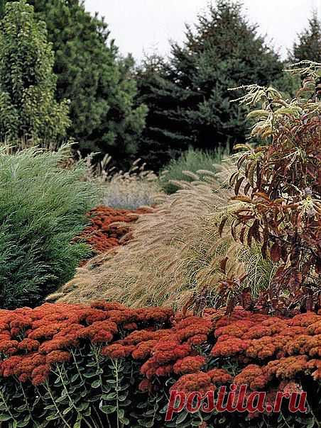 Конгениальные сочетания!.