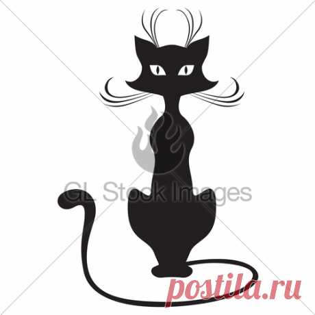 black-cat.jpg (500×500)