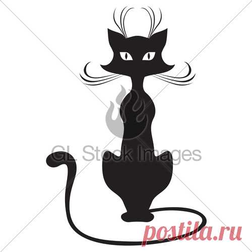 black-cat.jpg (500×500)