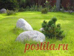 АЛЬПИЙСКИЕ ГОРКИ.