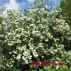 ТЕХНИКА "СТАКАН ВОДЫ" | Познавательный сайт ,,1000 мелочей"